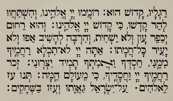 A small portion of Hebrew type