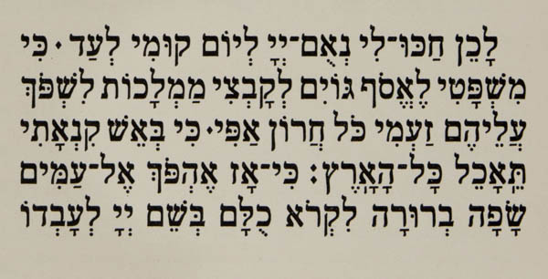 A small portion of Hebrew type